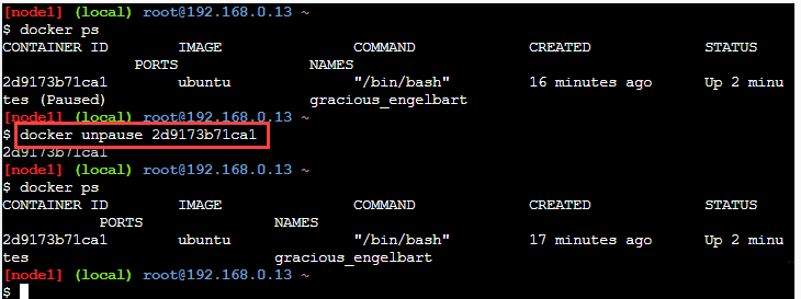 12-Unpause a Docker Container.png