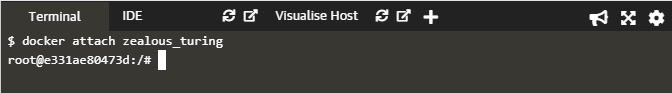 8-docker attach command.png