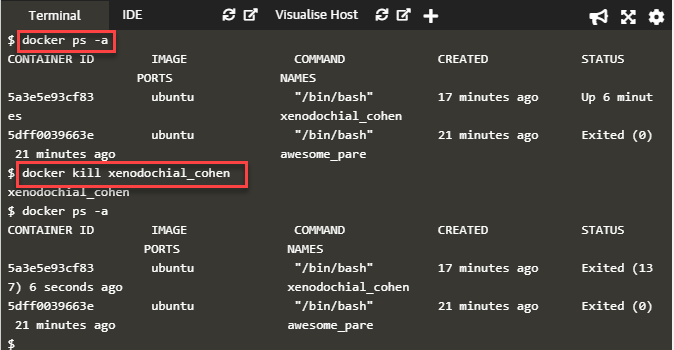 9-docker kill command.png