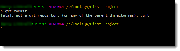  committing_without_dot_git_folder