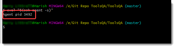 Cloning Repository using SSH - Agent pid