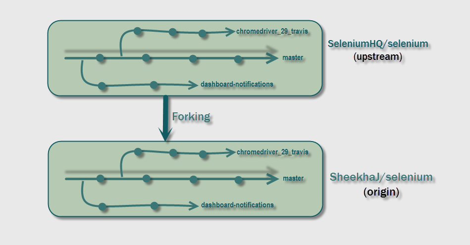 Git Terminologies - Git Branch