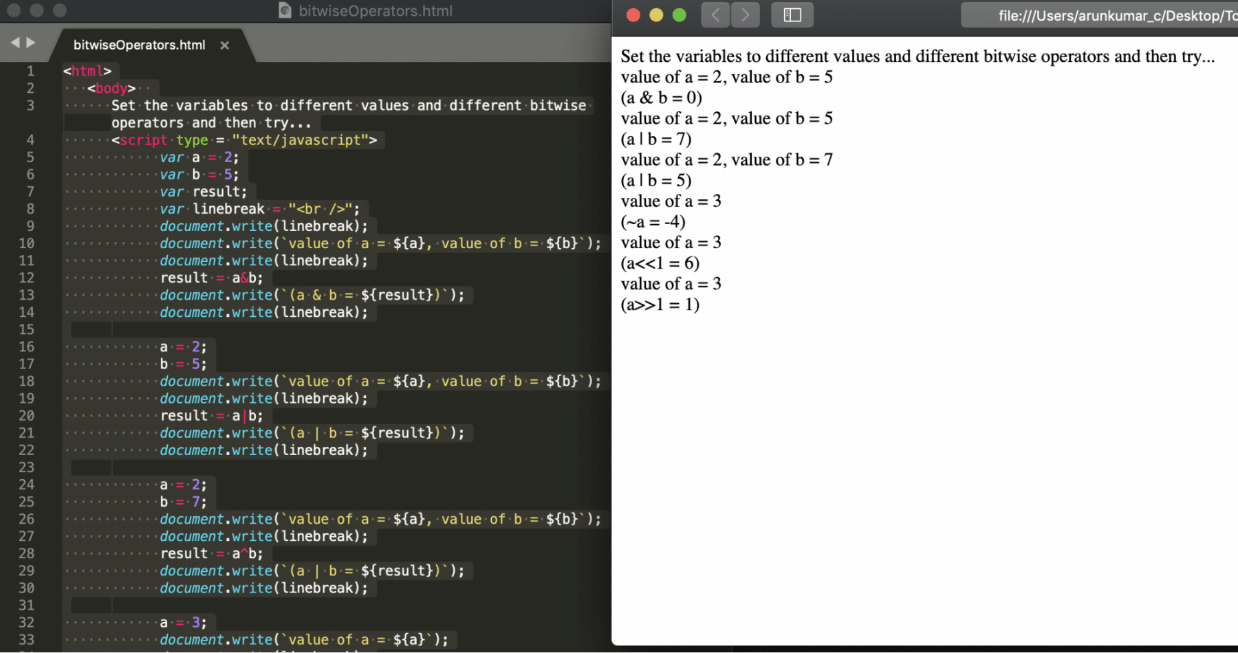  JS Bitwise Operator