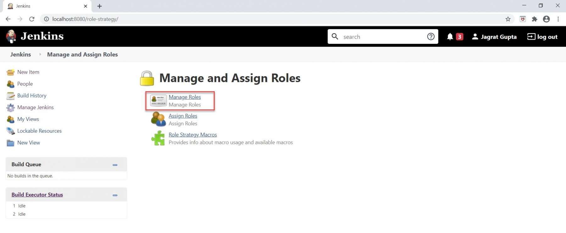 Manage Roles option