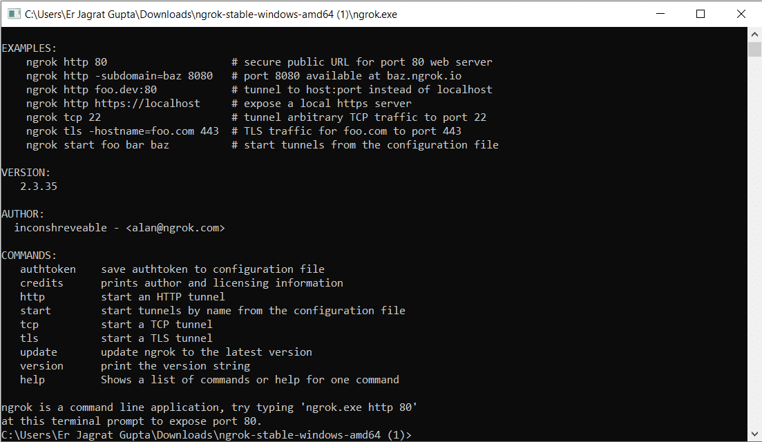 ngrok terminal window