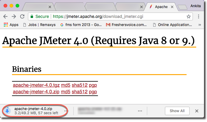 JMeter_Download