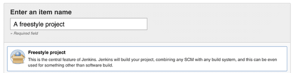 Create and configure a new Jenkins project_Enter an item name