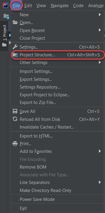 Project_Structure_Intellij