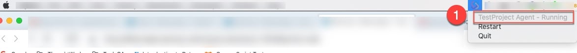 TestProject Agent Status on MacOS.jpg