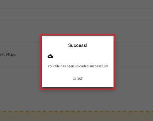 file_upload_successful.jpg
