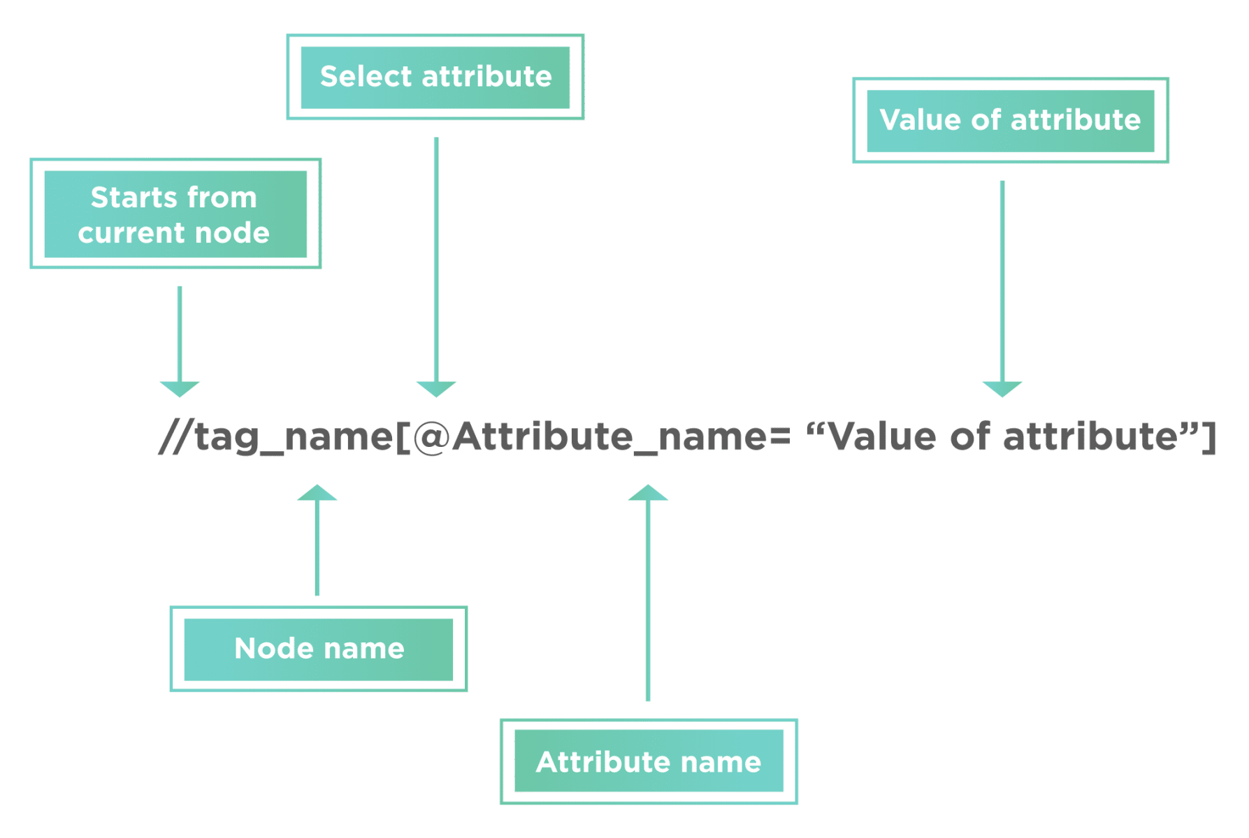 XPath Syntax