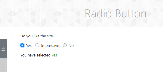 Radio Button in Selected State