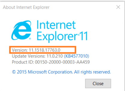 Run Selenium tests on Internet Explorer: Check IE version