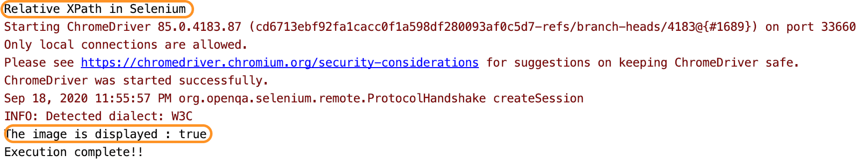 Console Output running Selenium tests with Relative XPath