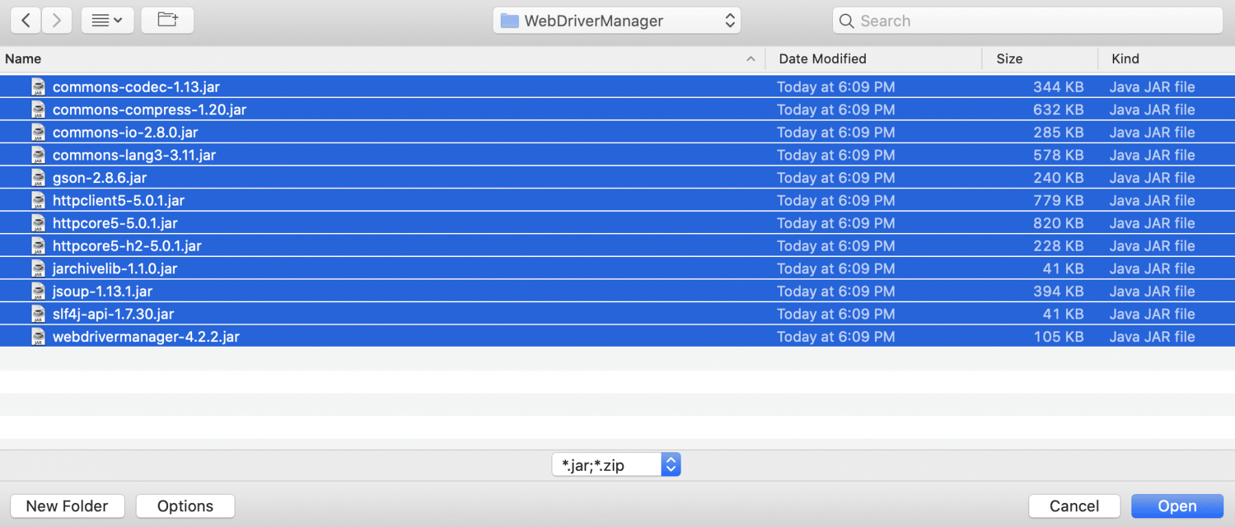 Select WebDriverManager extracted JARs