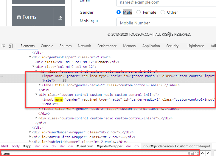 find an element in Selenium by Name more than one entries